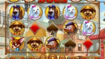 Fortune Dogs