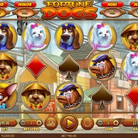 Fortune Dogs
