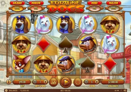 Fortune Dogs