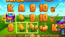 Pumpkin Patch