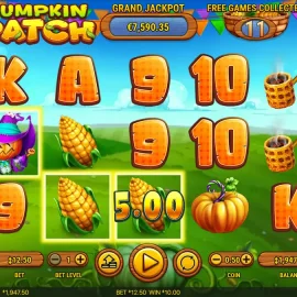 Pumpkin Patch
