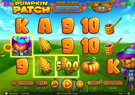 Pumpkin Patch